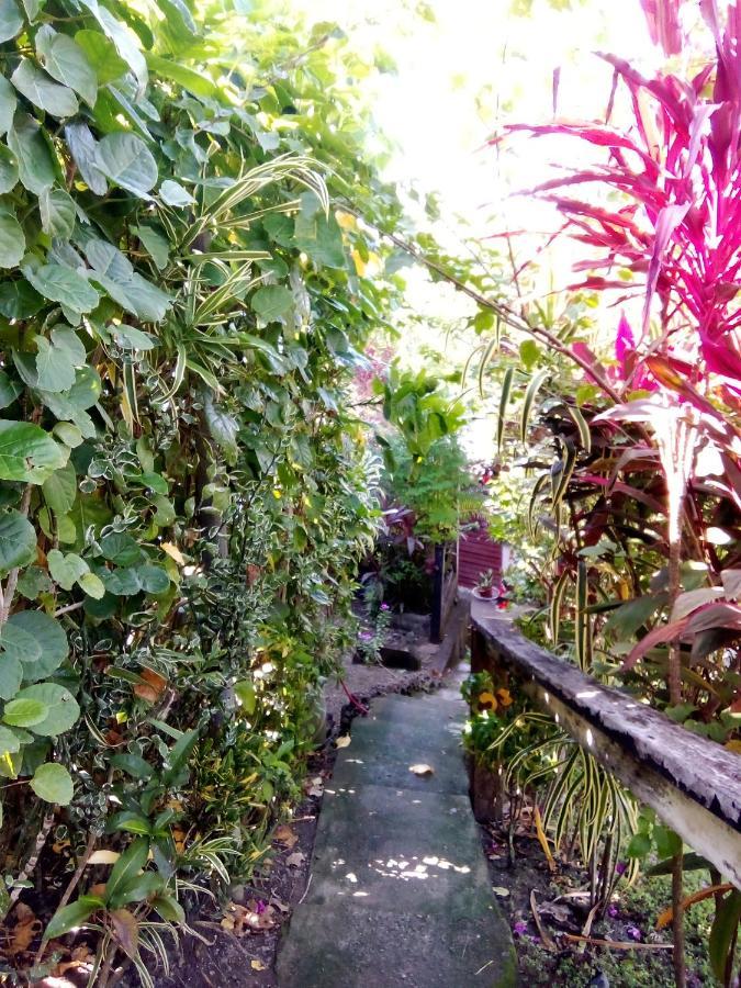 Island Home Honiara Dış mekan fotoğraf