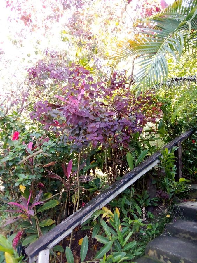 Island Home Honiara Dış mekan fotoğraf